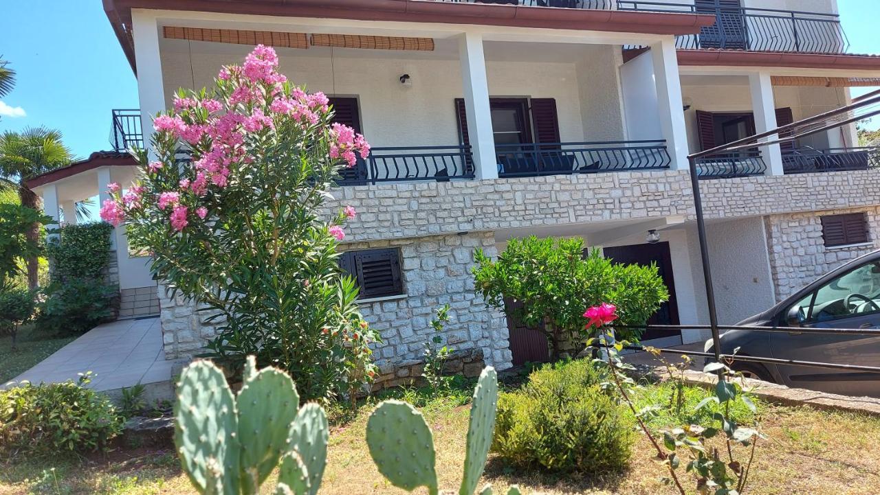 Apartments Nina, Pinta & Santa Maria Nova Vas  Dış mekan fotoğraf