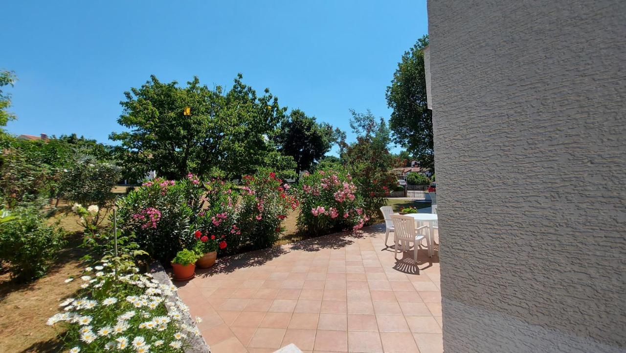 Apartments Nina, Pinta & Santa Maria Nova Vas  Dış mekan fotoğraf