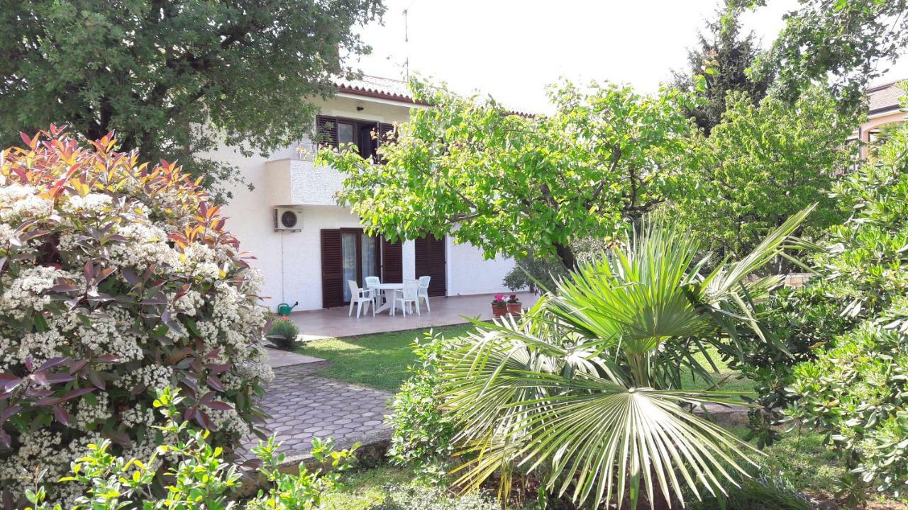 Apartments Nina, Pinta & Santa Maria Nova Vas  Dış mekan fotoğraf